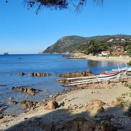 Les Bois Flottes . Plage De La Verne La Seyne-sur-Mer Εξωτερικό φωτογραφία