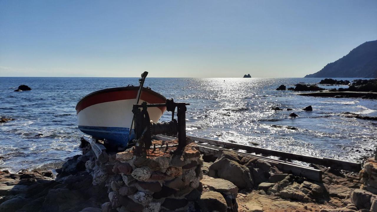Les Bois Flottes . Plage De La Verne La Seyne-sur-Mer Εξωτερικό φωτογραφία