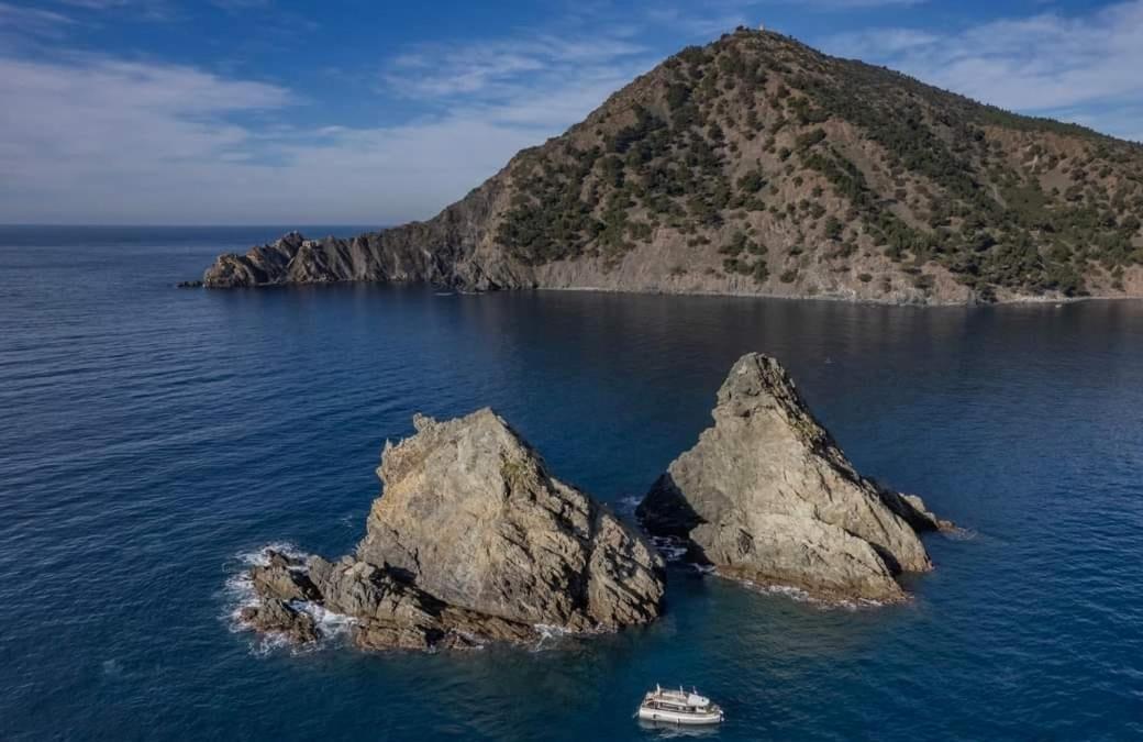 Les Bois Flottes . Plage De La Verne La Seyne-sur-Mer Εξωτερικό φωτογραφία