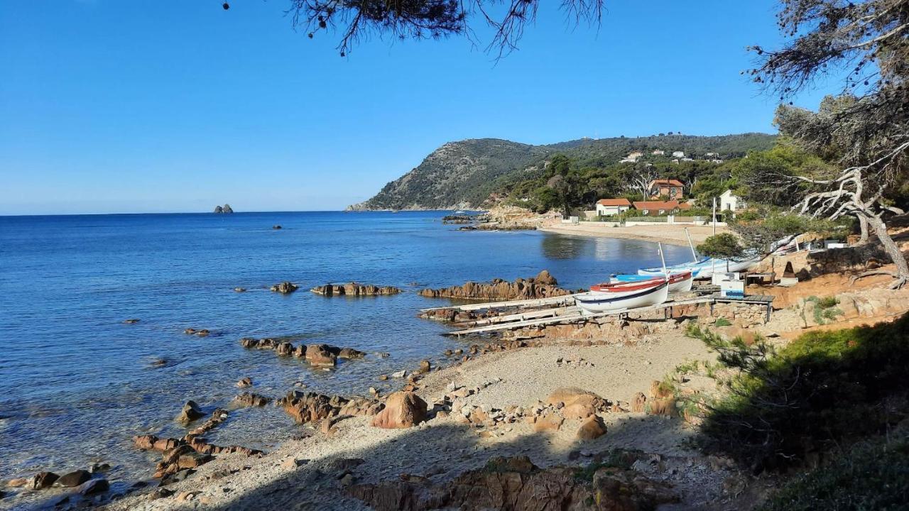 Les Bois Flottes . Plage De La Verne La Seyne-sur-Mer Εξωτερικό φωτογραφία